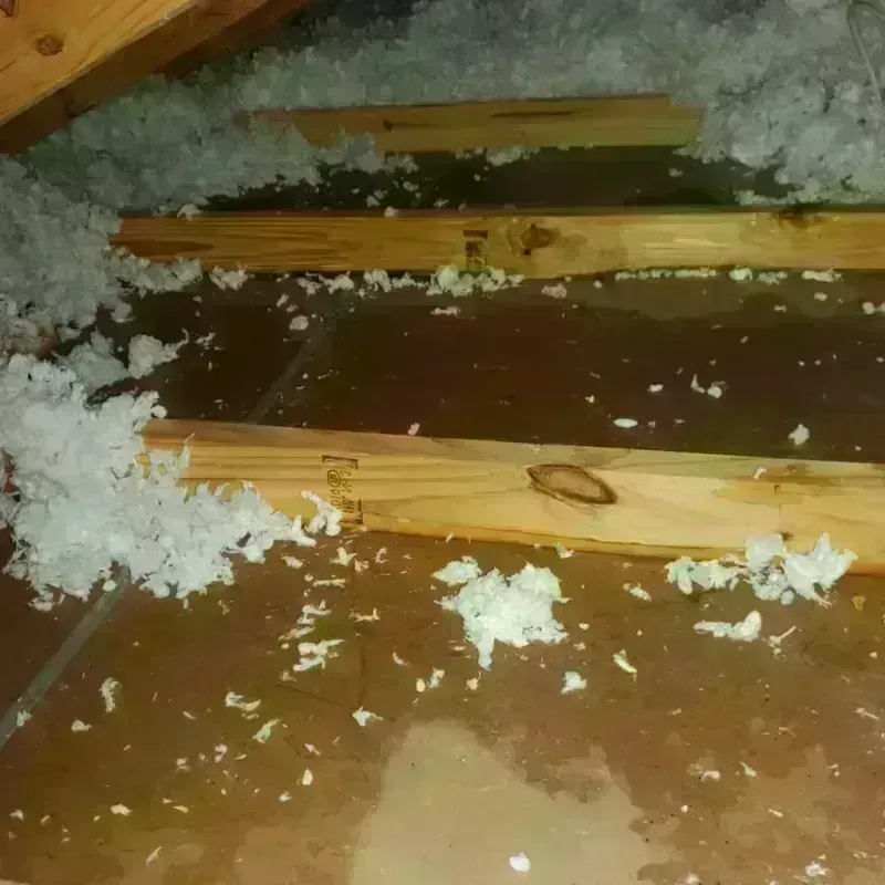 Attic Water Damage in Wellsburg, WV